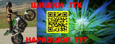 индика Пенза