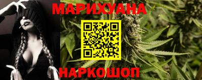 индика Пенза