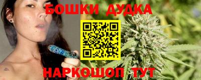 индика Пенза