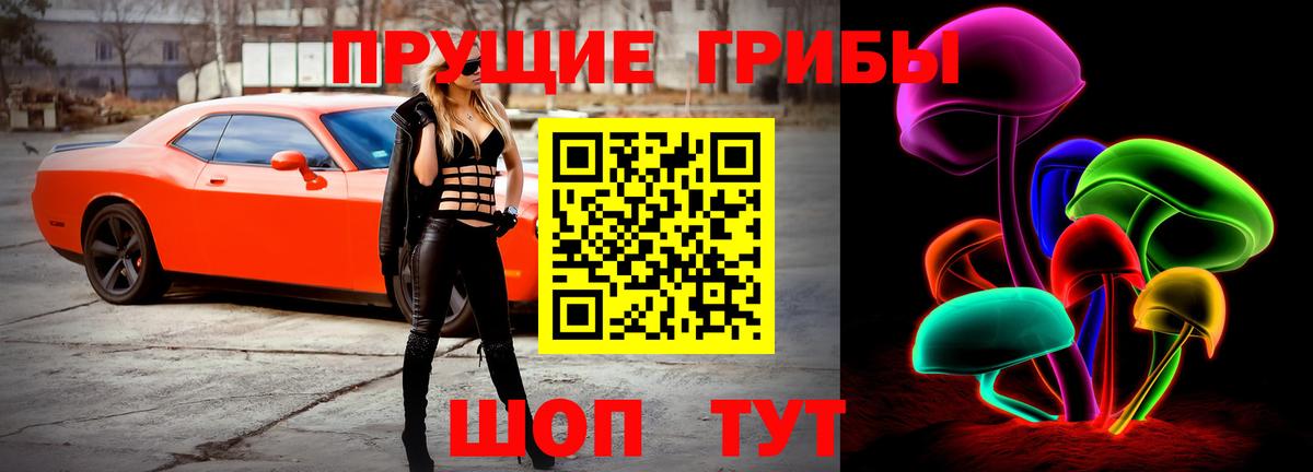 Черногорск  Галлюциногенные грибы Psilocybe  Вход с VPN 